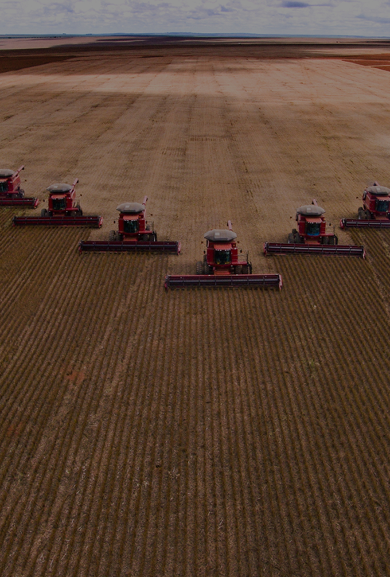 Soybean harvest