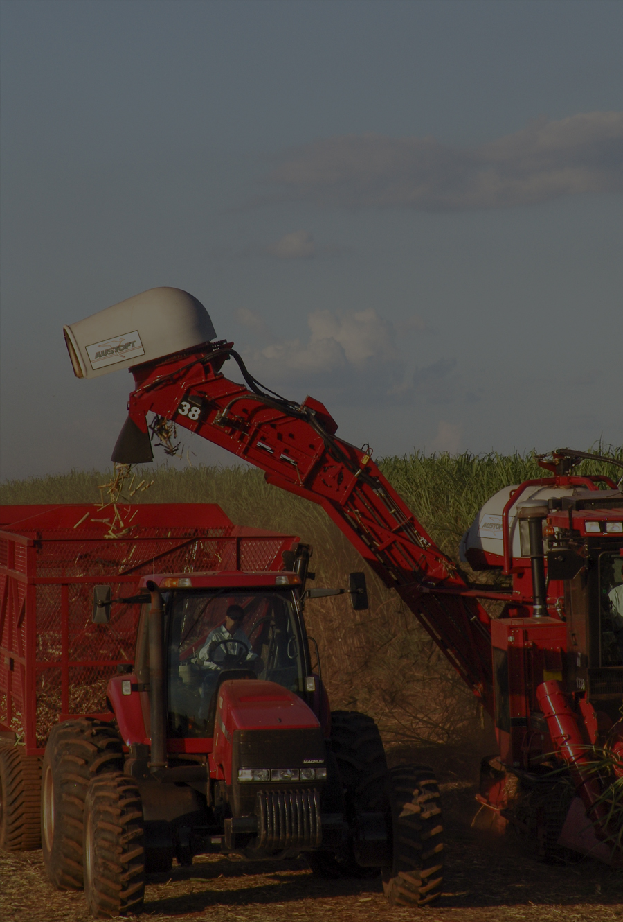 Soybean harvest